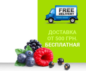 freeshippingr